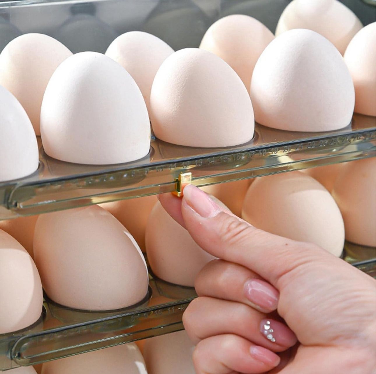 Miniatura 4 de ORGANIZADOR,ESTAN,DISPENSADOR DE HUEVOS